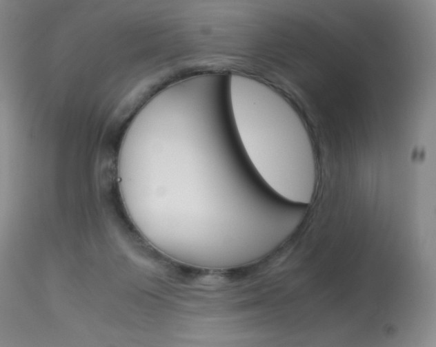 X0000114010119200910021002