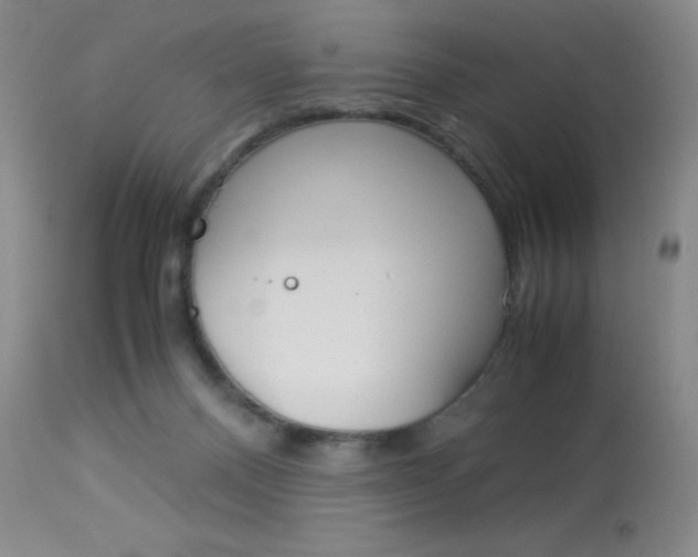 X0000114010120200910021002