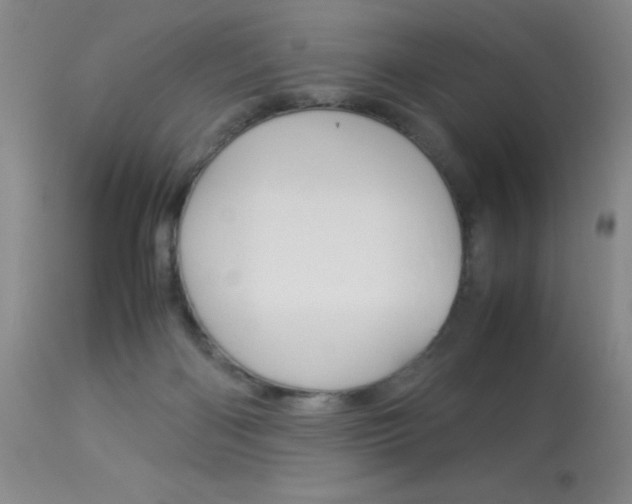 X0000114010122200910021002