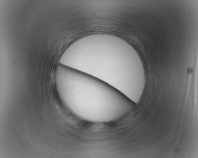 X0000114010123200910021002