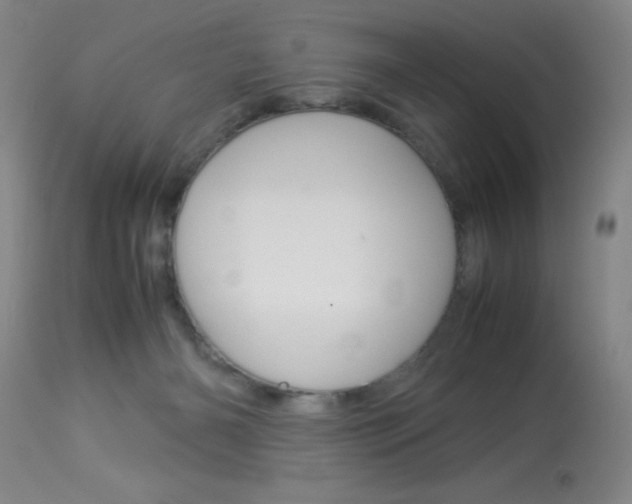 X0000114010126200910021002