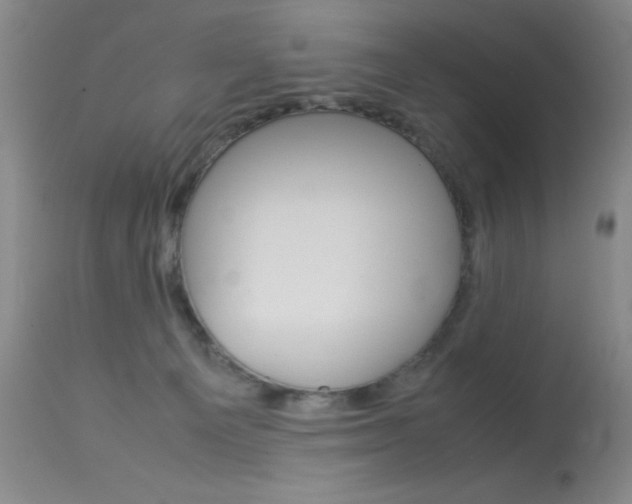 X0000114010129200910021002