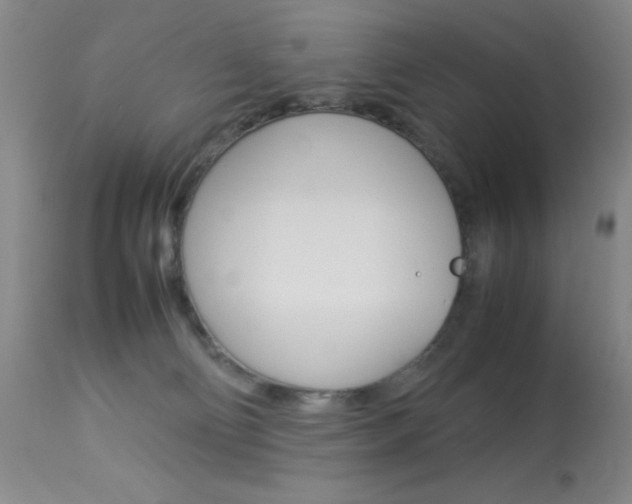 X0000114010130200910021001