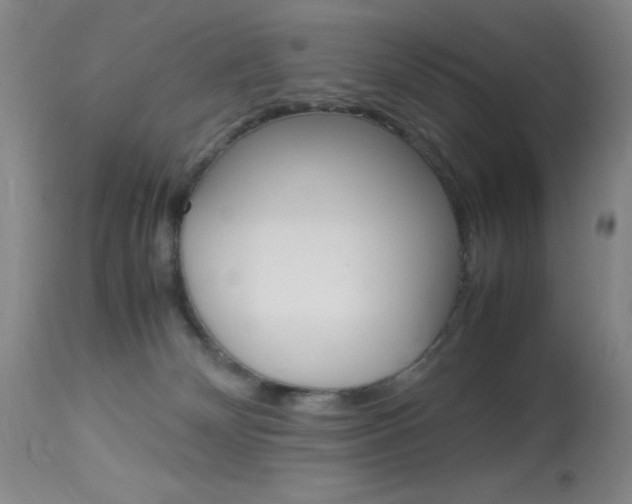 X0000114010132200910021001