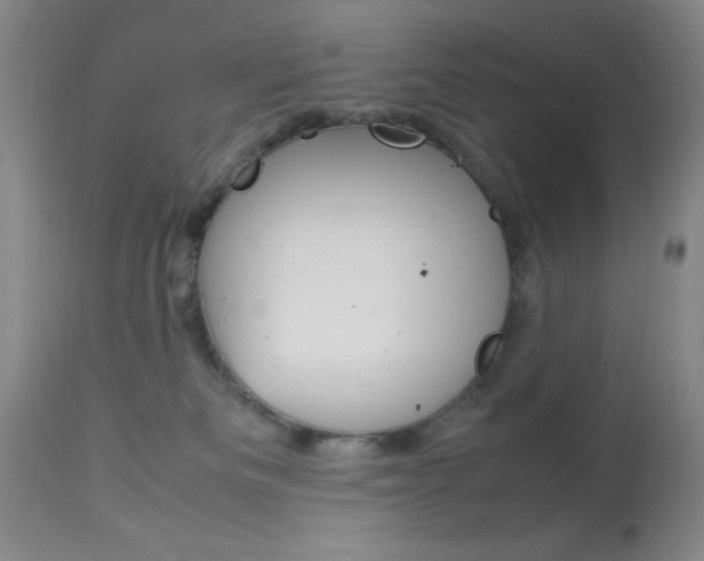 X0000114010133200910021001