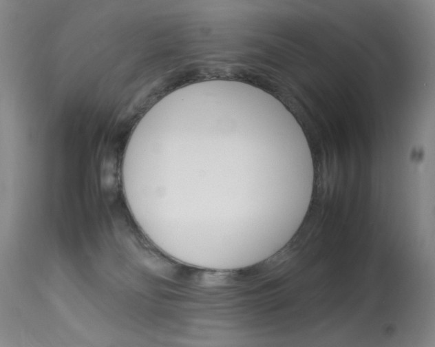 X0000114010134200910021001