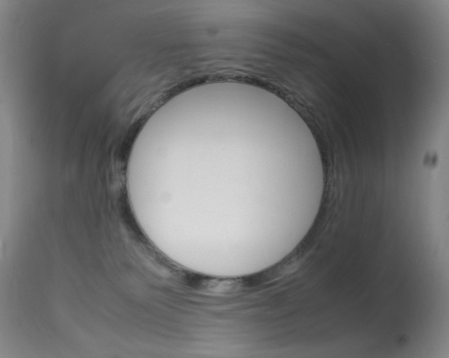 X0000114010135200910021001