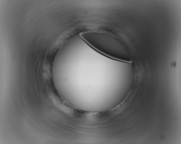 X0000114010136200910021001