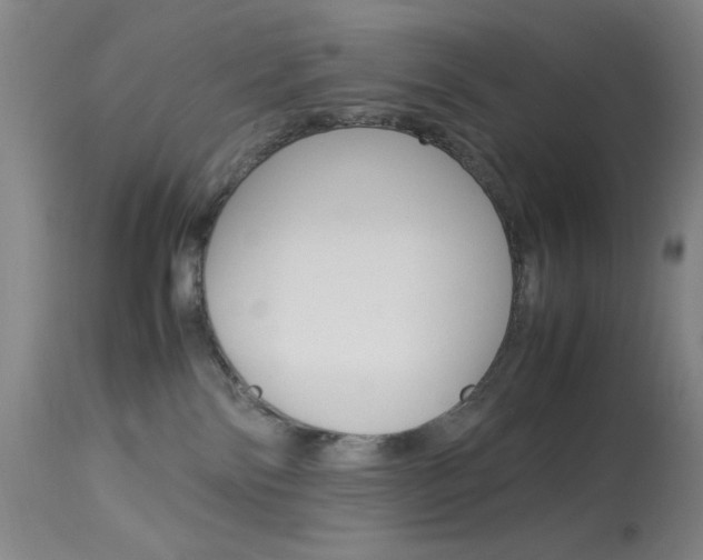 X0000114010138200910021001