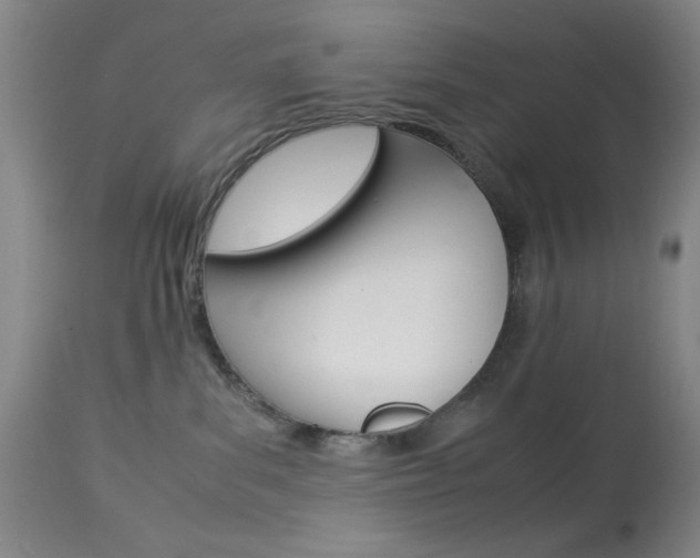 X0000114010139200910021001