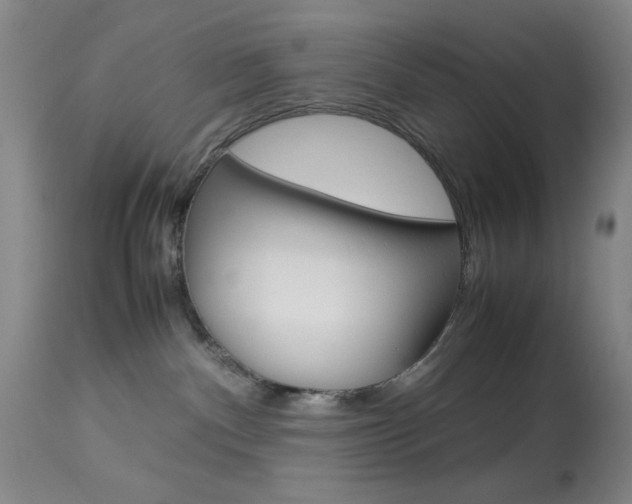 X0000114010140200910021001