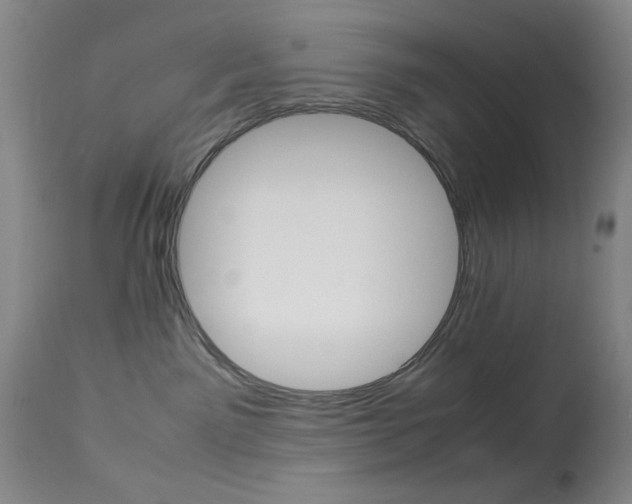 X0000114010141200910021001
