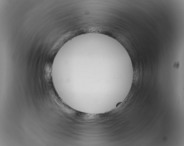 X0000114010142200910021001