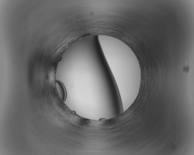 X0000114010143200910021001