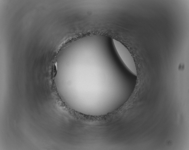 X0000114010144200910021001