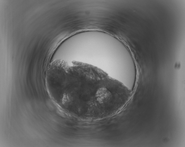 X0000114010145200910021000