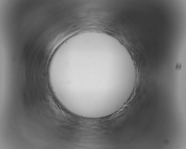X0000114010146200910021000