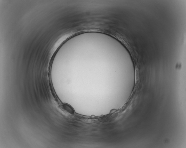 X0000114010147200910021000