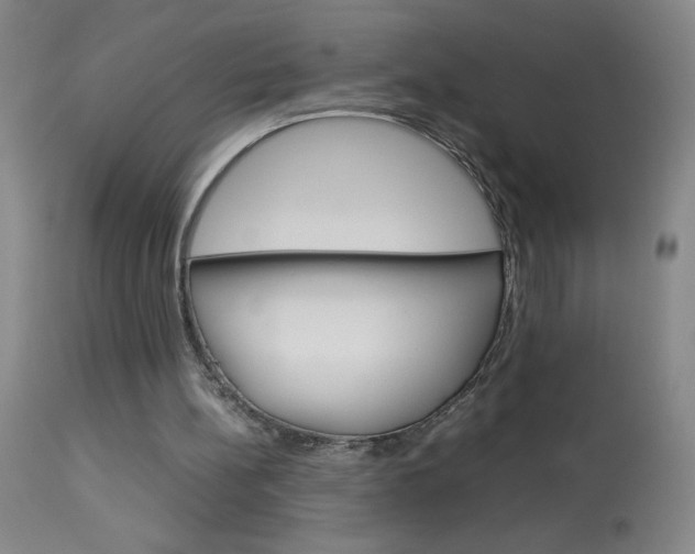 X0000114010148200910021001