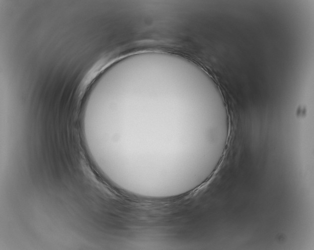 X0000114010150200910021001
