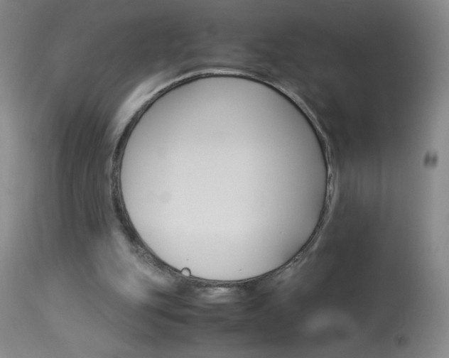 X0000114010151200910021001