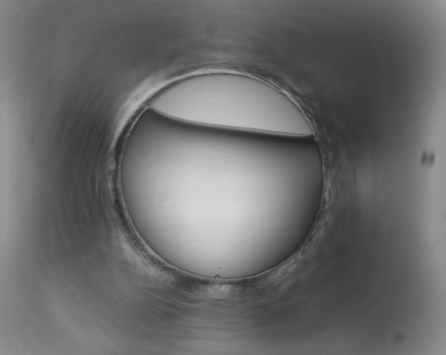 X0000114010152200910021001