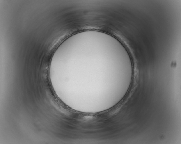 X0000114010153200910021001