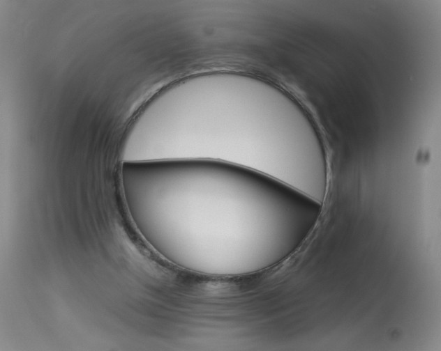 X0000114010154200910021001