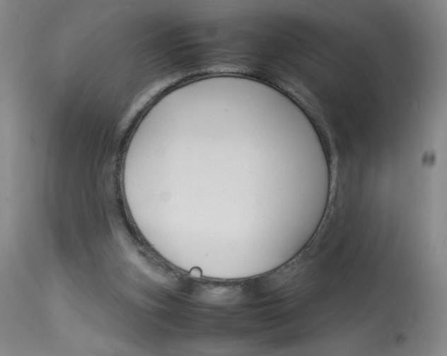 X0000114010155200910021001
