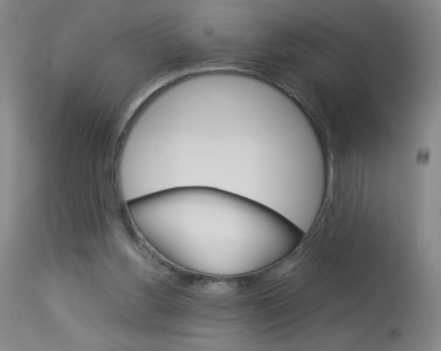 X0000114010156200910021001