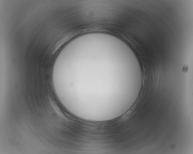 X0000114010158200910021001