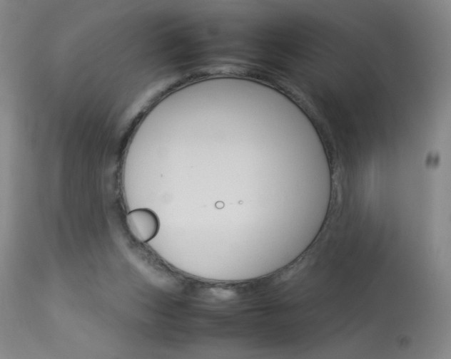 X0000114010159200910021001