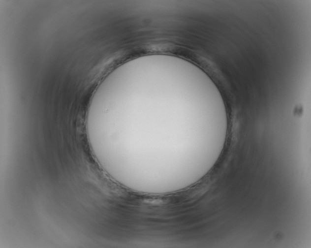 X0000114010161200910021001