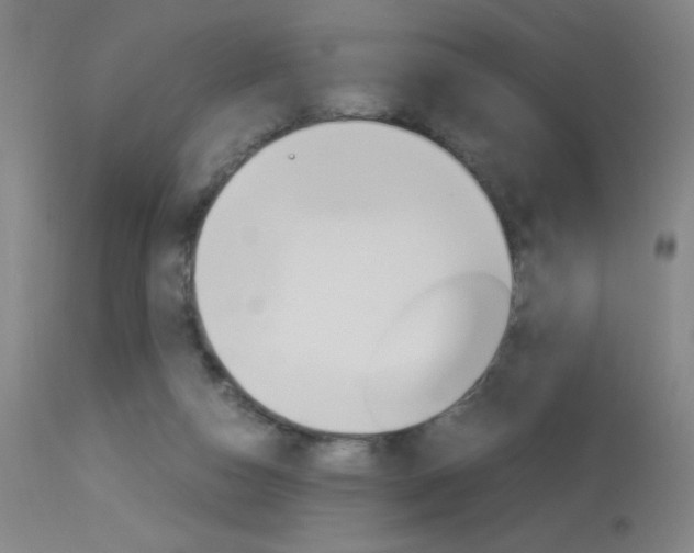X0000114010162200910021001