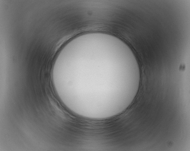 X0000114010164200910021001