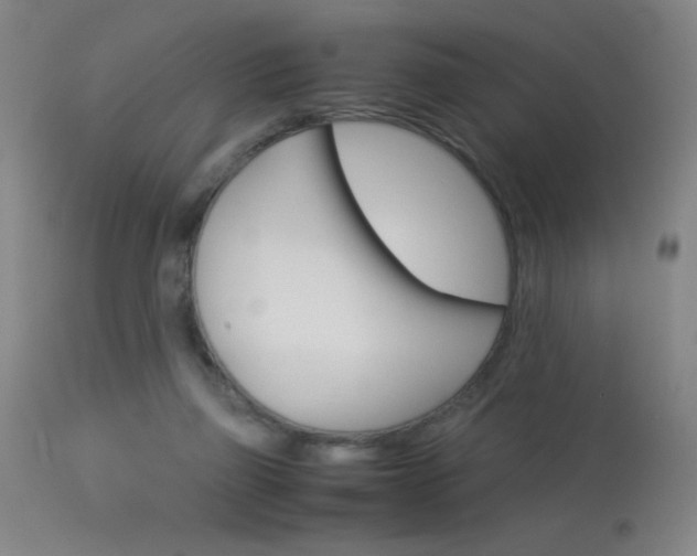 X0000114010165200910021001