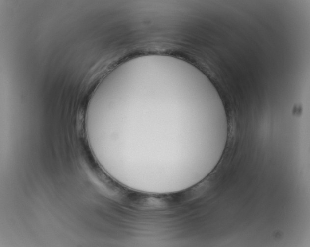 X0000114010166200910021001