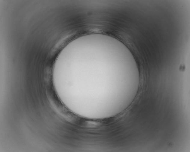 X0000114010167200910021001