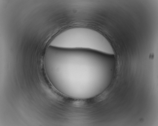 X0000114010168200910021001