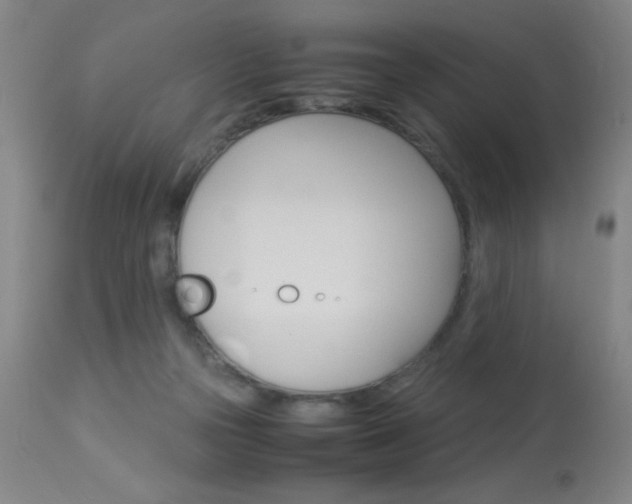 X0000114010169200910021001