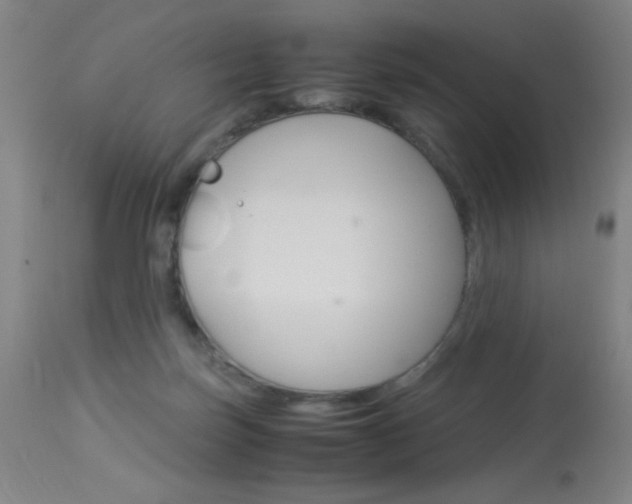 X0000114010171200910021001