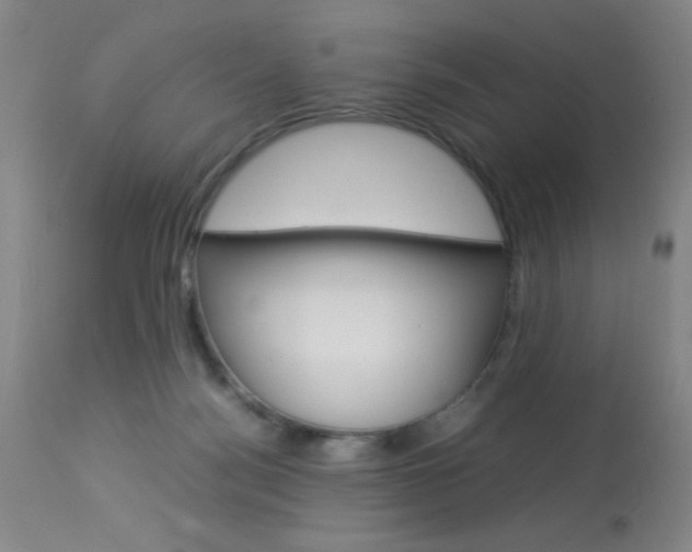 X0000114010172200910021001