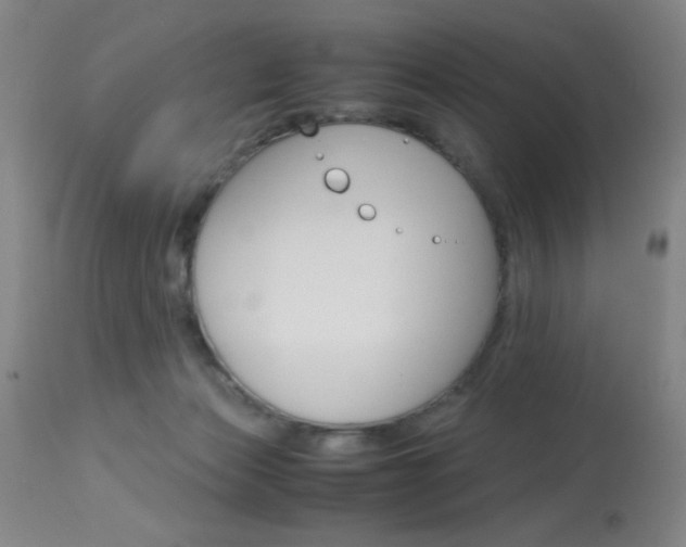 X0000114010173200910021001