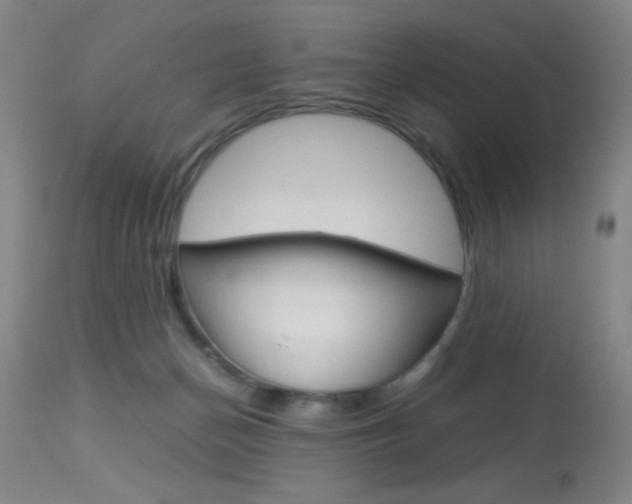X0000114010174200910021001