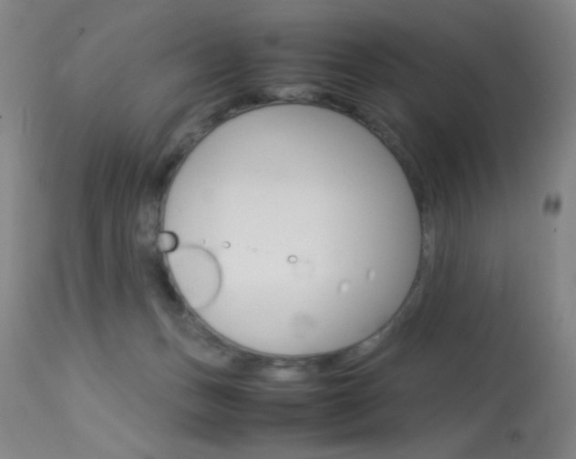 X0000114010175200910021001