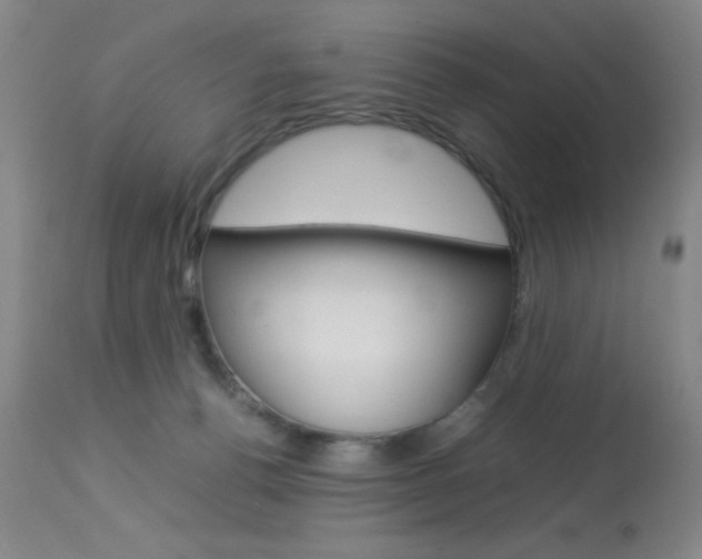 X0000114010176200910021001