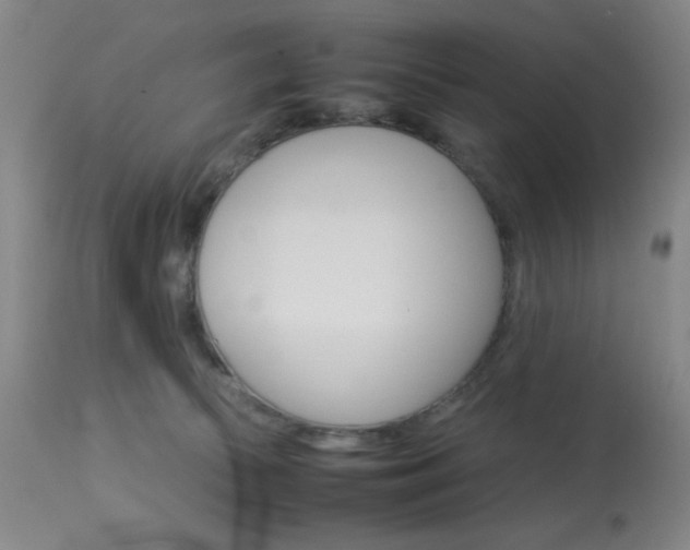 X0000114010177200910021001