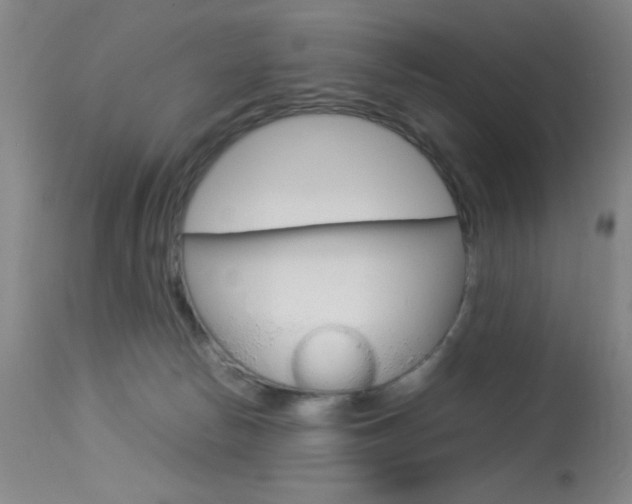 X0000114010178200910021001