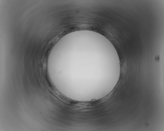 X0000114010179200910021001