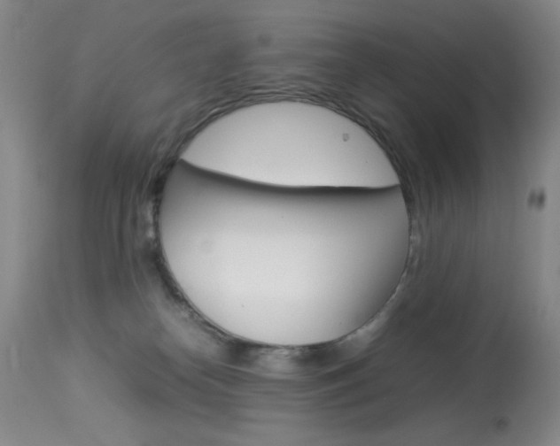 X0000114010182200910021001
